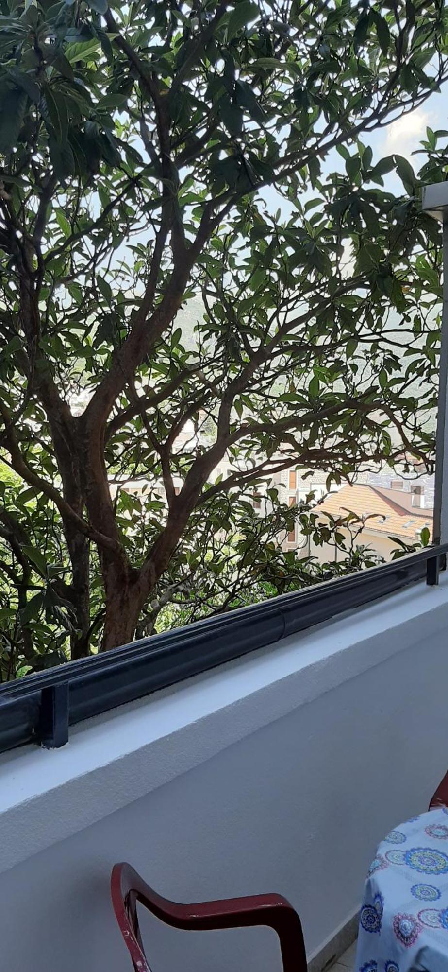 Apartament Iskra Budva Zewnętrze zdjęcie